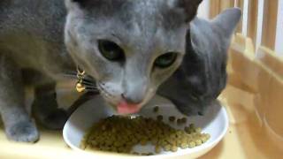 DSCF8260.AVI
