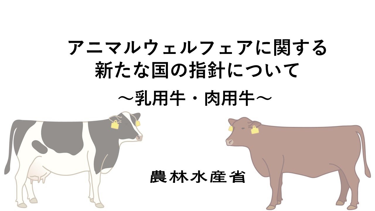 アニマルウェルフェアに関する新たな国の指針について～乳用牛・肉用牛編～