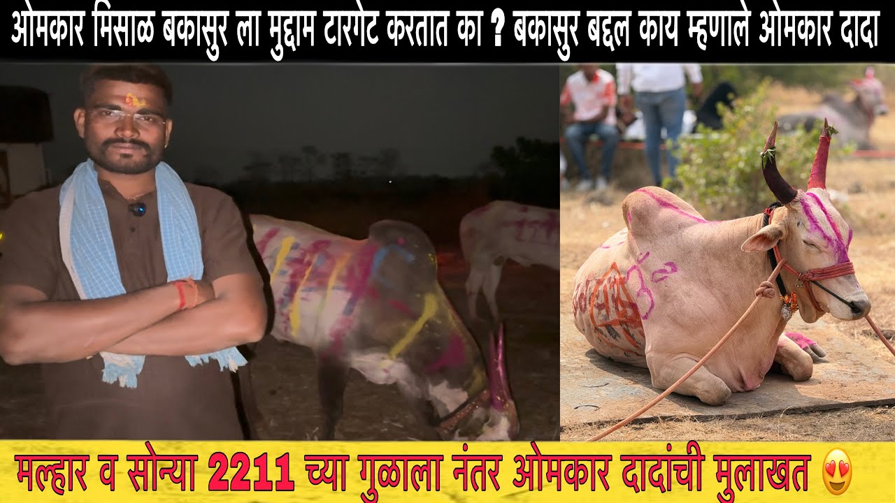 बकासुर बद्दल काय म्हणाले ओमकार दादा | बकासुर बद्दल नक्की प्रेम की राग? 