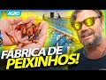 DESCOBRI UMA FÁBRICA DE PEIXES ORNAMENTAIS NO BRASIL! | RICHARD RASMUSSEN