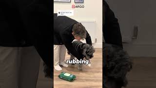 Messy Walks? Clean Paws In Seconds Earth Rated Dog Wipes Demo