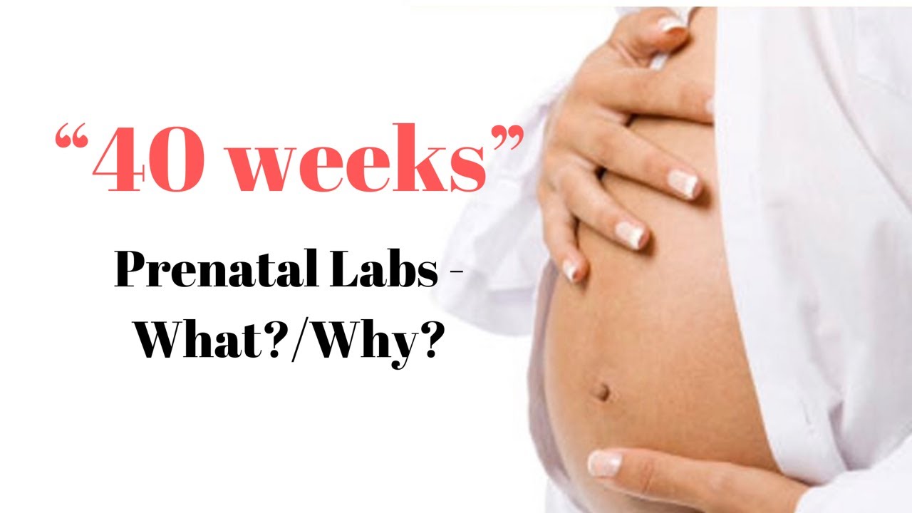 40 Weeks- Prenatal labs
