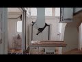 Bacci – Reference Video