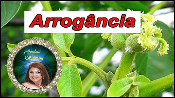 Como posso melhorar minha arrogância?