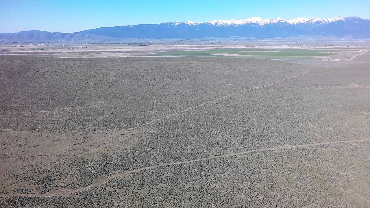 Colton Ranch Branding YouTube