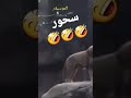 شوفوا اسد يقول سحور