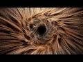 Make Stunning Particle Swirls in Cinema 4D 2025 and Octane