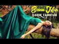 Hamik tamoyan  evina min my love  official music 4k  new