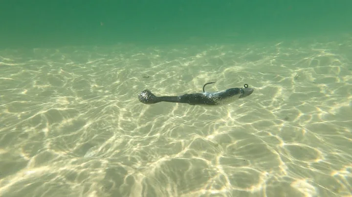 Topic 5: The Best Soft Bait Retrieves | Welcome To Fishing