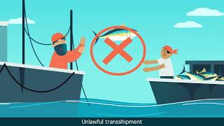 What is illegal, unreported and unregulated fishing