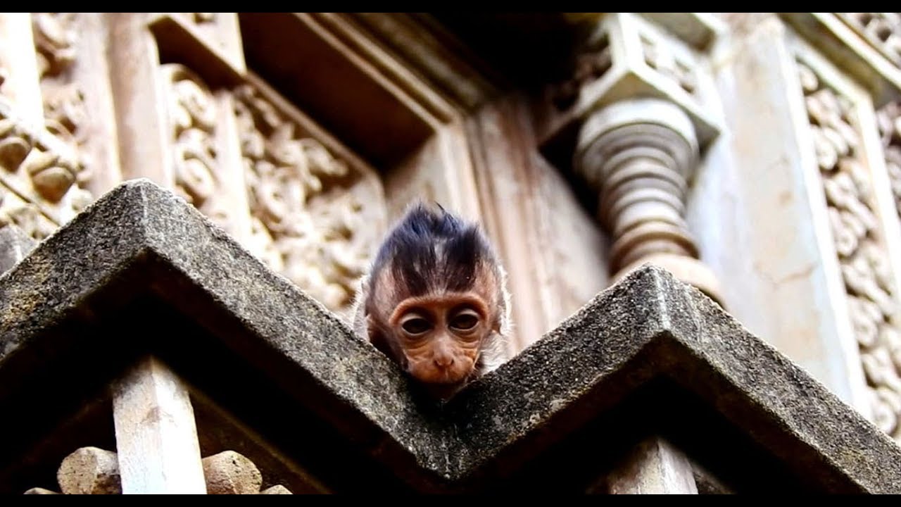 foundry Heidi Try To Call For Help Coz She Needs Food For Breakfast In The Morning