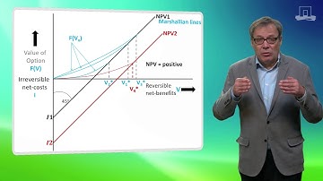 5.4.5 Applying Real Option Theory