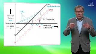 5.4.5 Applying Real Option Theory