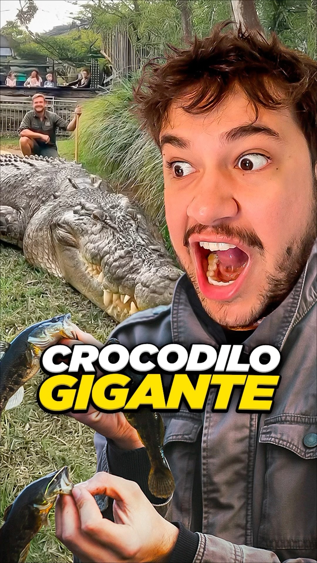 crocodilo gigante! #livedobrino #humor #MundinhoBrino