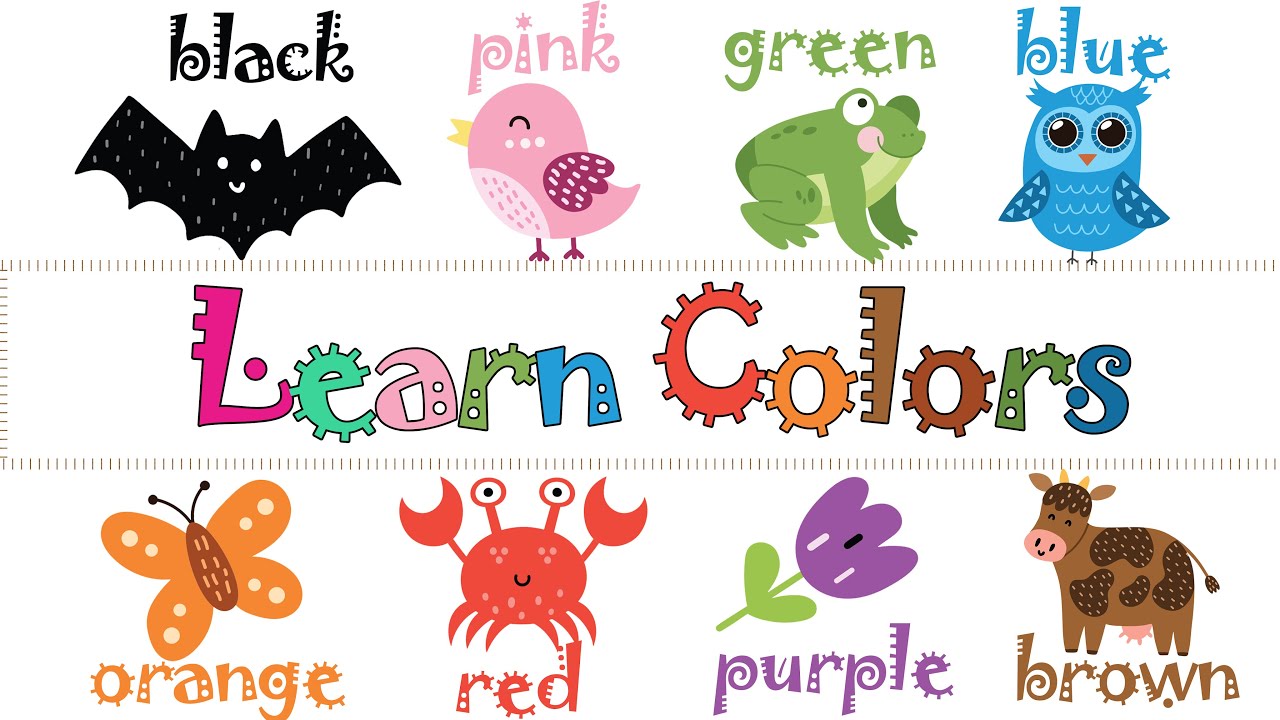 Learn Colors Flashcard Learn Colors with Images Flashcards YouTube
