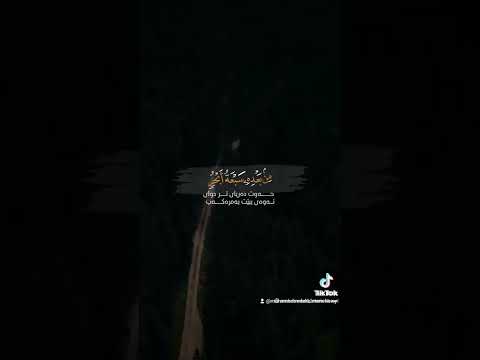 ولو انما فى الارض المنشاوي