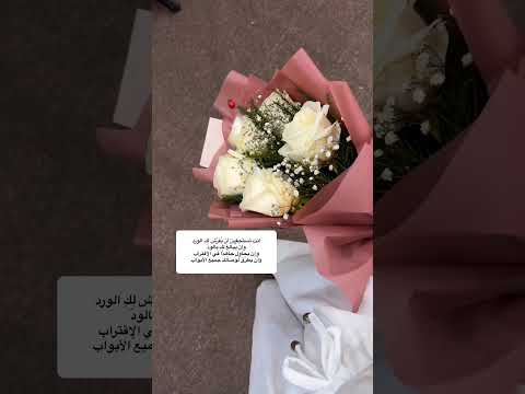 جاي لعندك طاير اجري كاظم الساهر