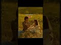 Ishqa Ve 💕 | Zeeshan Ali | aesthetic lyrics | lyrics | whatsapp status #shorts