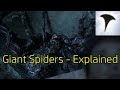 Stargate Universe: Giant Spiders |  Explained