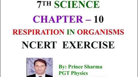 NCERT EXERCISE (CHAPTER - 10) RESPIRATION IN ORGANISMS : CLASS 7TH (SCIENCE)