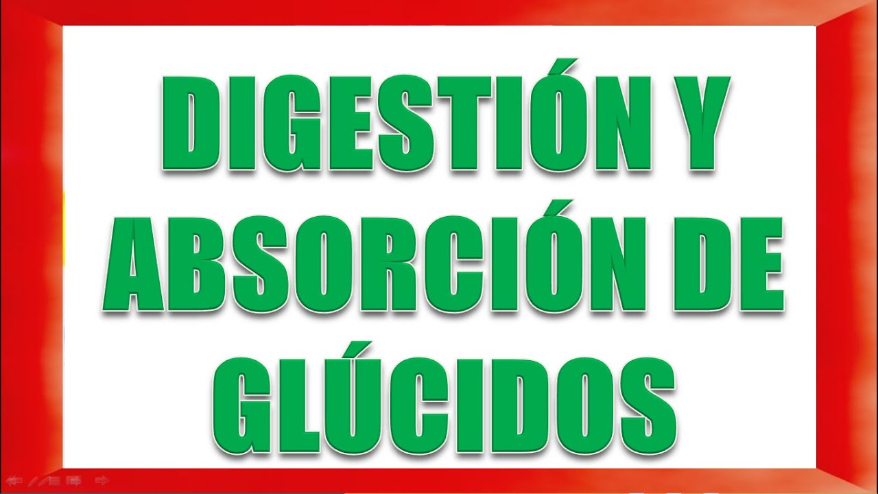 DIGESTIÓN Y ABSORCIÓN DE HIDRATOS DE CARBONO
