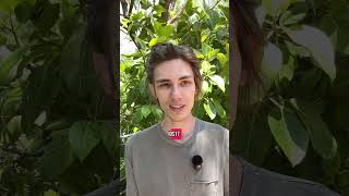 Or Tim’s pushing the annual slow down button.