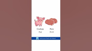 Learn French with Airlearn. Download now! #learnfrench #languagelearning