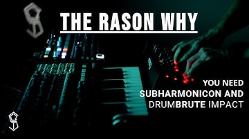 The Reason Why You Need Moog Subharmonicon And Arturia DrumBrute Impact