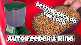 Getting back on the food! Cheap auto feeder and DIY feeding ring. Fishmate P7000 & EA Tempest filter