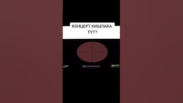 ОН ТОЧНО ТУТ? #game #мем #rustgame #раст #юмор #рекомендации #memes #rust