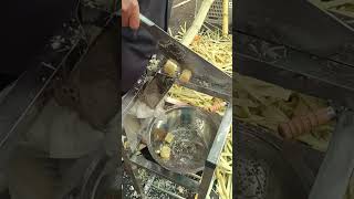 Tebu super tebal dipotong menggunakan alat pertanian tradisional #shorts