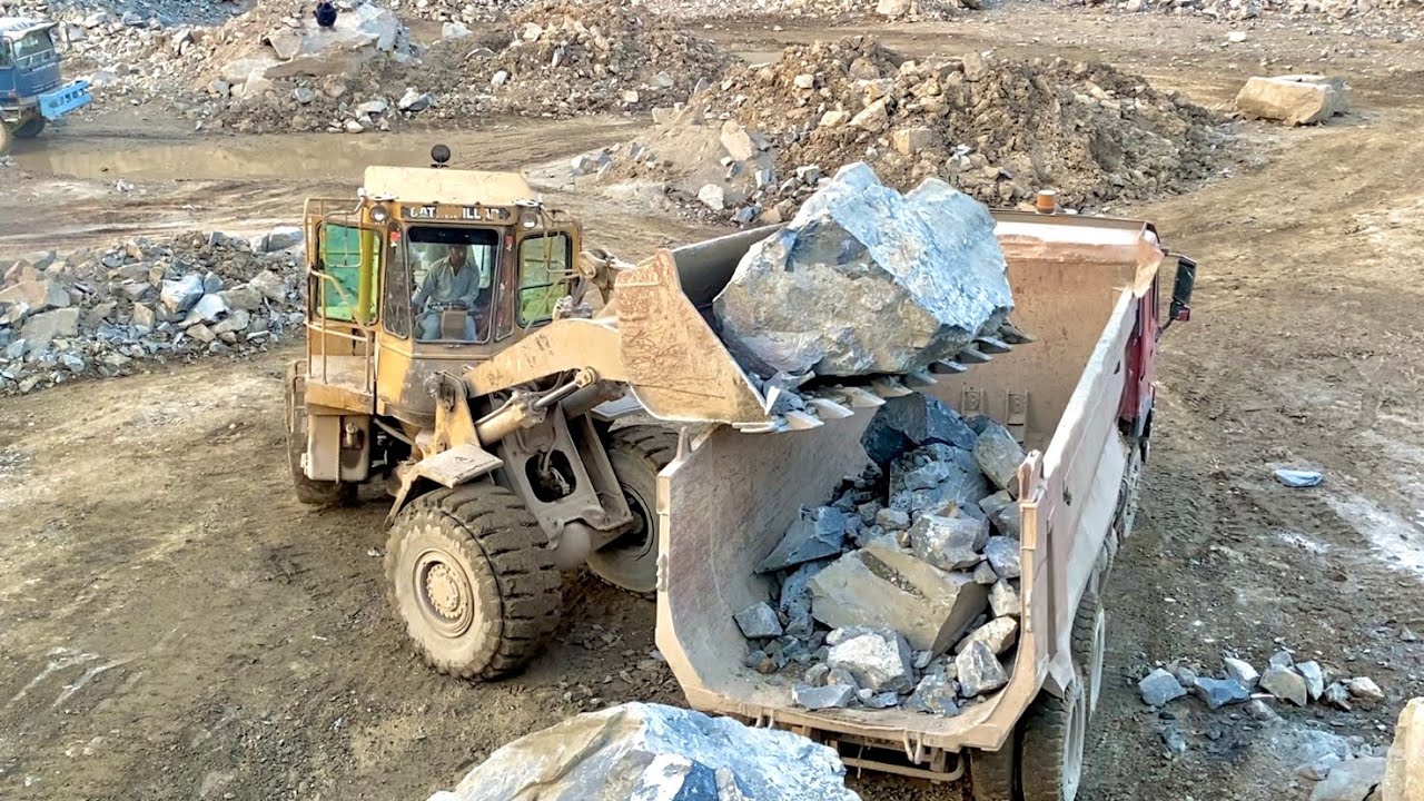 Sooper Stone 🗯️The Ultimate Test of Strength - Cat Takes It On!”” When the Boulders Are Bigger Then 