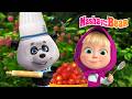 🤗🌸 Let’s Share! 🫙🍒 Jam Day & Bon Appétit 👩🍳🥟 Best episodes collection 🎬 Masha and the Bear 2026