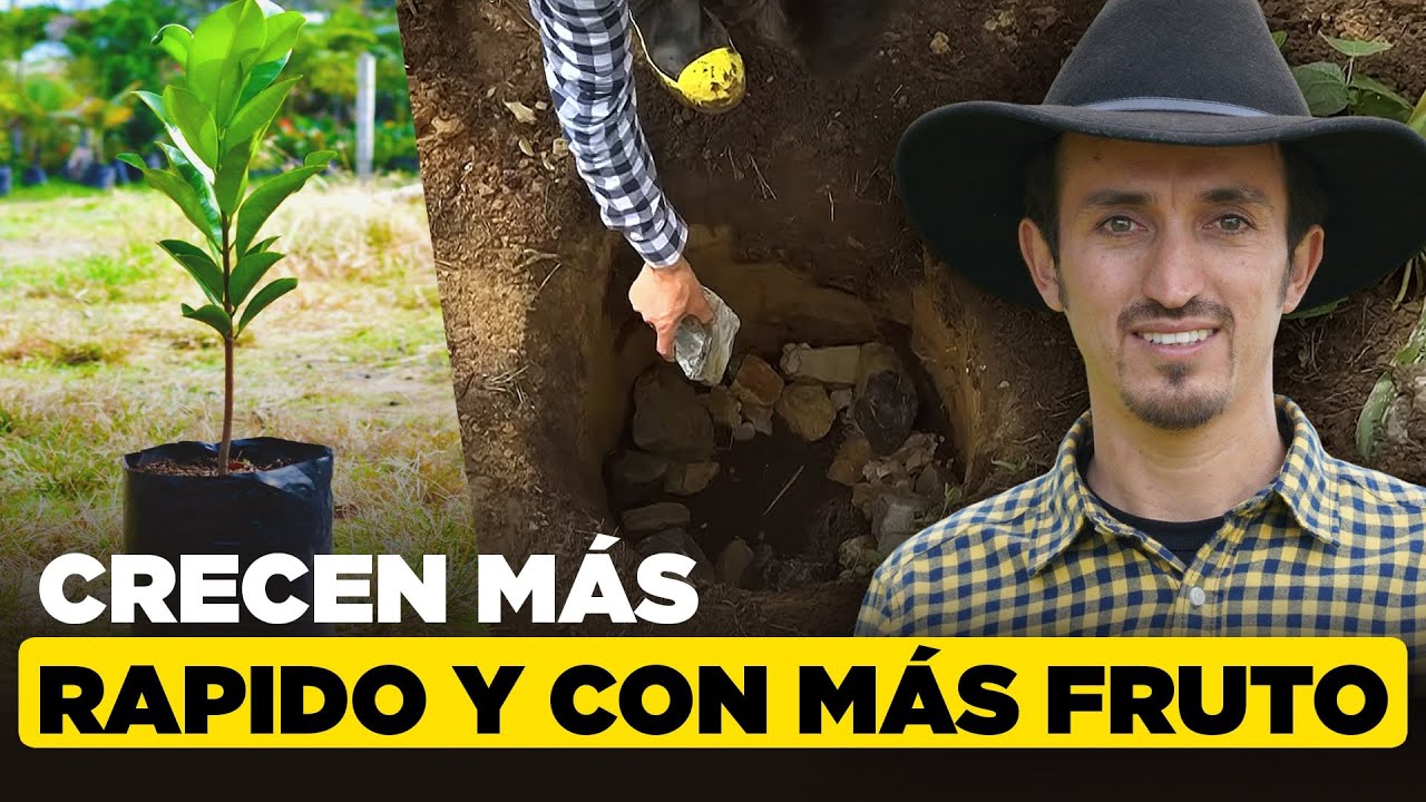 Método revolucionario para sembrar árboles frutales usado por Elena G de White