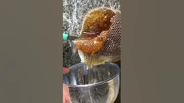 قطف العسل الطبيعي الأصلي سبحان الله شاهد كيف يتم جني العسل الجبلي 