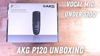 What's in the box of an AKG p120?