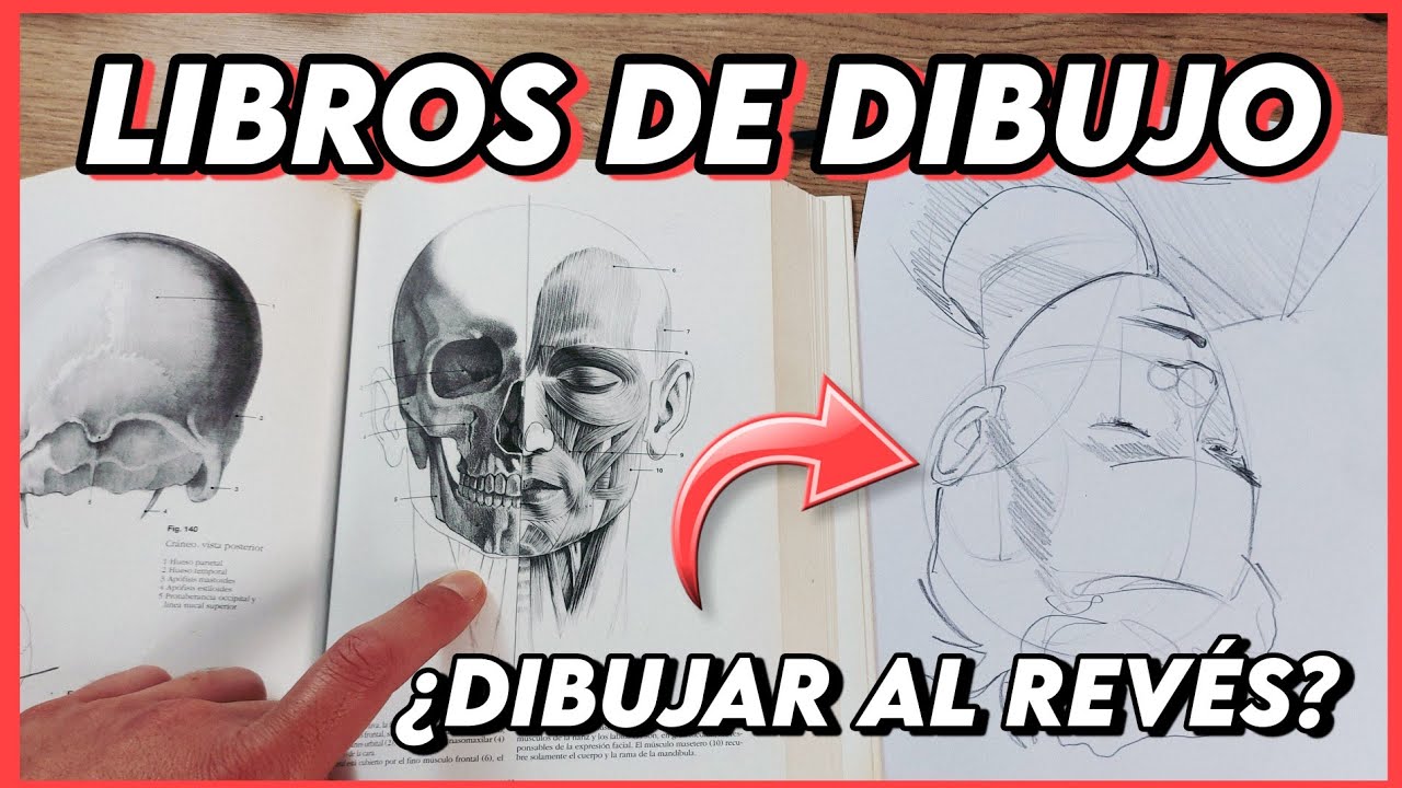 LIBROS para APRENDER A DIBUJAR - Mi RECOMENDACIÓN - YouTube