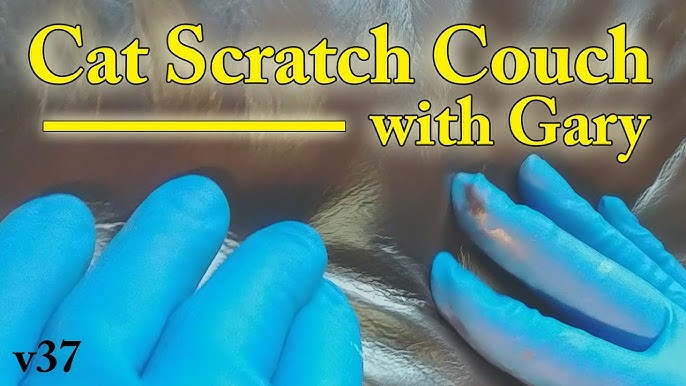 How To Repair Cat Scratches on a Leather sofa 