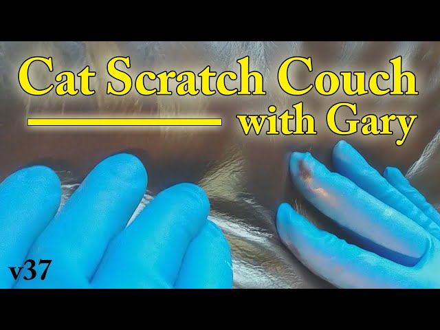 Fix those cat scratches on your couch and no one will know! 🤫 🙀 #cl, fix cat scratch couch