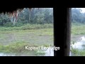 Kapawi ecolodge