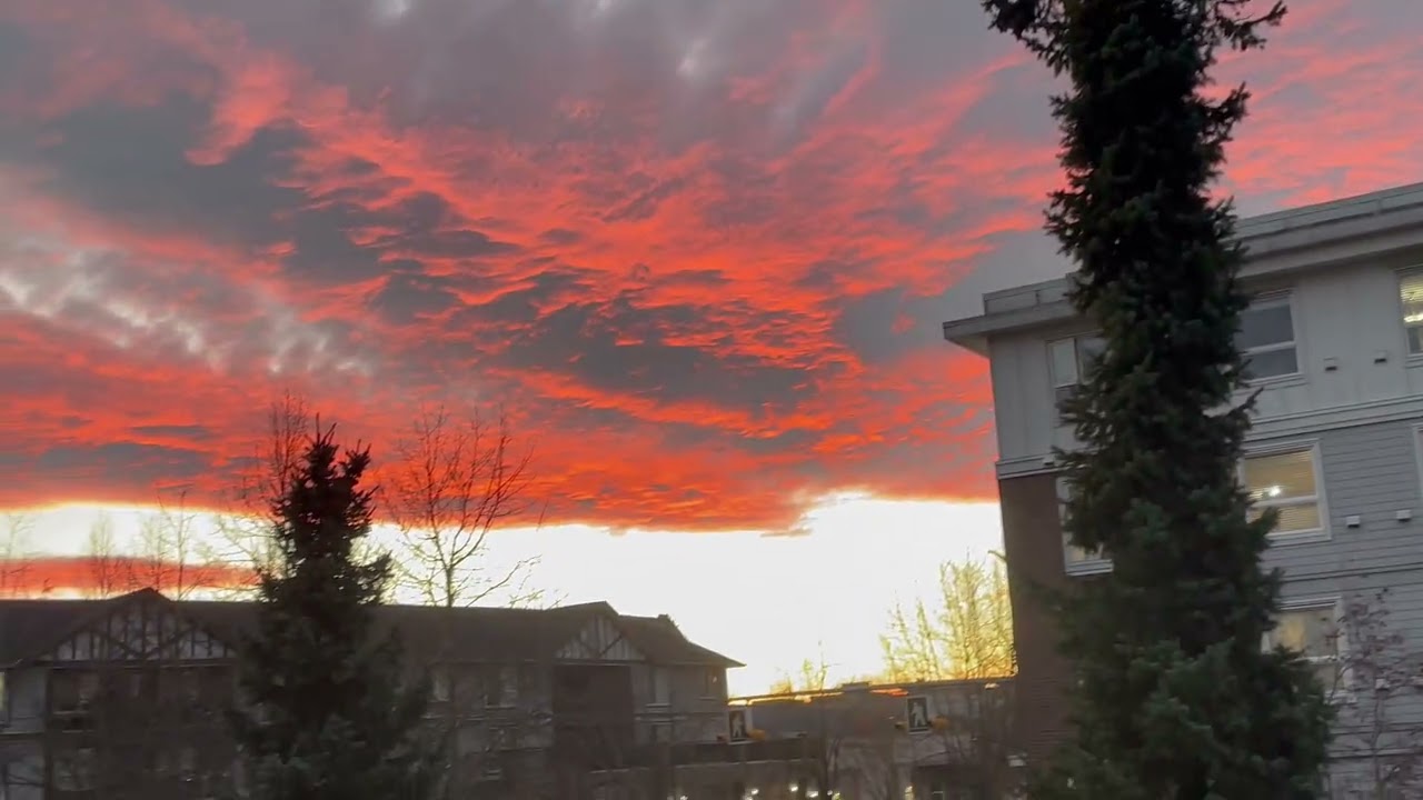  view from my gallery Red–Orange Clouds That Stopped Me | Sky color(date15/12/25 time eve 16:28 pm)