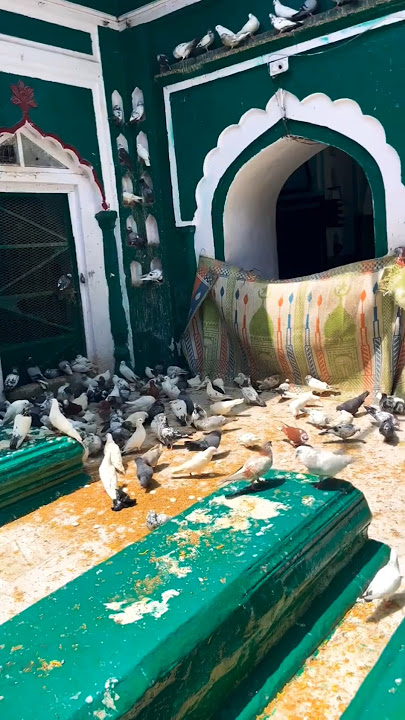 Sabir Pak kaliyar Sharif 🤲🤲🤲.. diy perfume #shorts Bismillah Ki Barqat 🤲🏻😱😰 #inspiration #emotional
