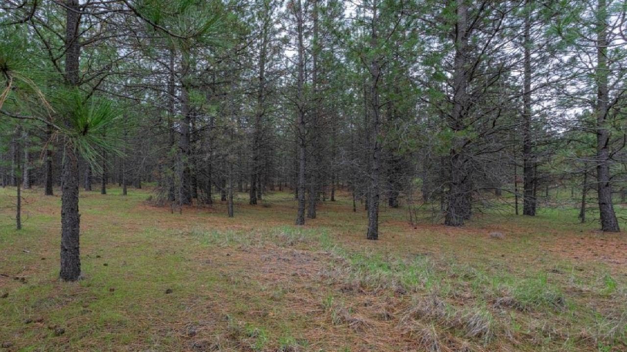 7215 S Cheney Spokane, Spokane, WA Presented by The Spokane Home Guy Group.