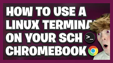 How To USE A LINUX TERMINAL On Your SCHOOL CHROMEBOOK!