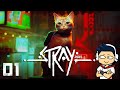 【阿薩】穿梭在廢墟中的流浪貓貓【Stray 浪貓 #1】