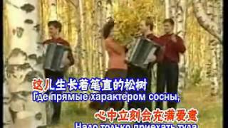 俄罗斯民歌 《白俄罗斯》- "Беларусь" - 中文版