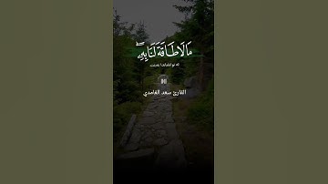 القارئ سعد الغامدي