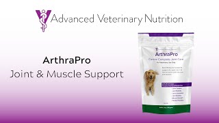 ArthraPro | Canine Joint & Muscle Support