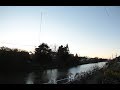 小さな窓の花ごよみ 1083 静かな夕空 ♪ 夜空のトランペット ♪