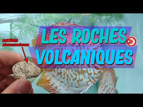 Vidéo: Tuf Volcanique : Qu'est-ce Que C'est ? Comment Les Pierres Sont-elles Utilisées Dans La Conception Des Aquariums ? Propriétés Et Composition Minérale, Origine